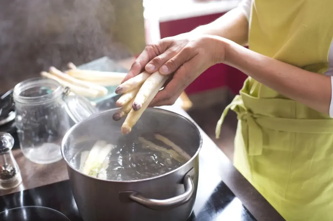Hände legen weißen Spargel in kochendes Wasser. Spargel kochen für ein köstliches Gericht.