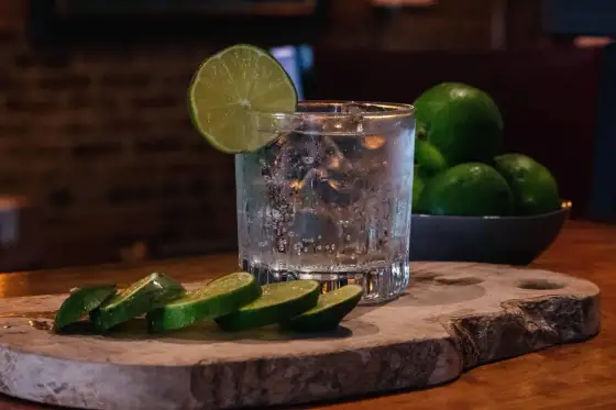 Gin Tonic perfekt mixen - So gelingt der beste Drink