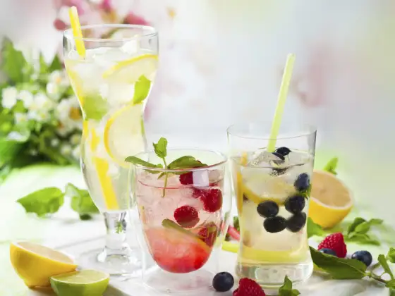 Hauslimonade selber machen - Das Geheimnis perfekter Erfrischung