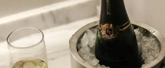 Wann gefriert Wein? Der wahre Gefrierpunkt & schnelle Kühlung